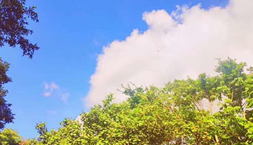 ͽ�����Ļ�����ʾ